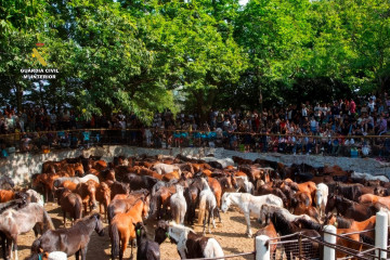 Cinco detenidos por robar más de 70 caballos y matar a cinco de ellos en la sierra de O Barbanza (A Coruña)