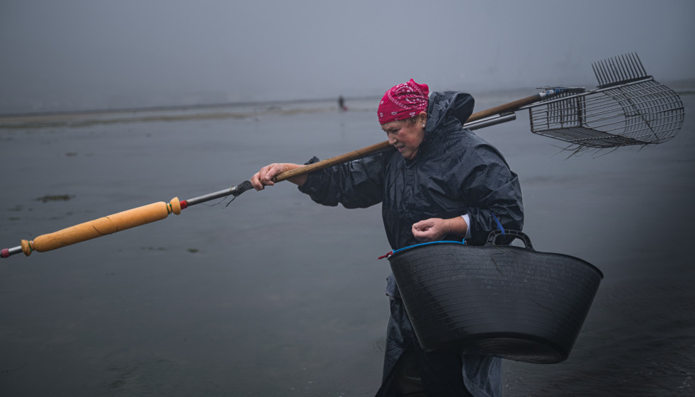 Archivo - Las mariscadoras de la Cofradía de San Telmo trabajan en la zona del Ameixal, a 4 de diciembre de 2025, en Pontevedra, Galicia (España). Las mariscadoras han arrancado hoy la campaña de N