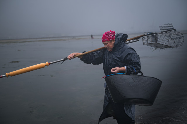 Archivo - Las mariscadoras de la Cofradía de San Telmo trabajan en la zona del Ameixal, a 4 de diciembre de 2025, en Pontevedra, Galicia (España). Las mariscadoras han arrancado hoy la campaña de Navidad después de haberse visto retrasada por la toxina am