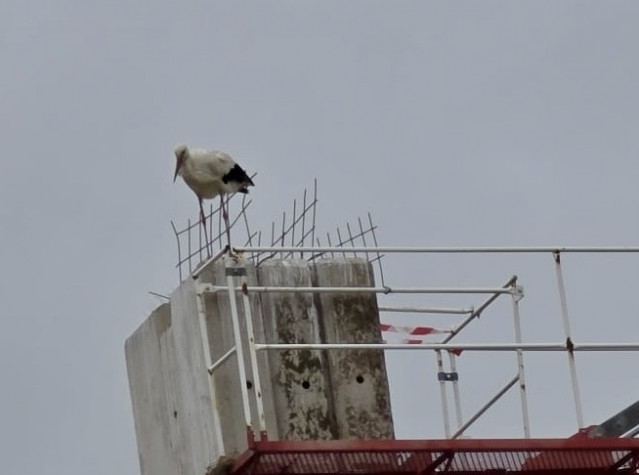 'Amigas Das Cegoñas' Denuncia Ante Xunta Y SEPRONA El Uso De 