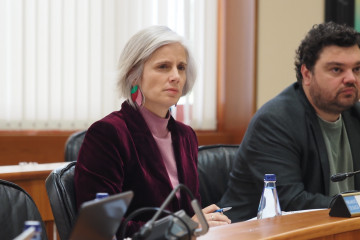 La diputada del PSdeG Patricia Iglesias en comisión parlamentaria.