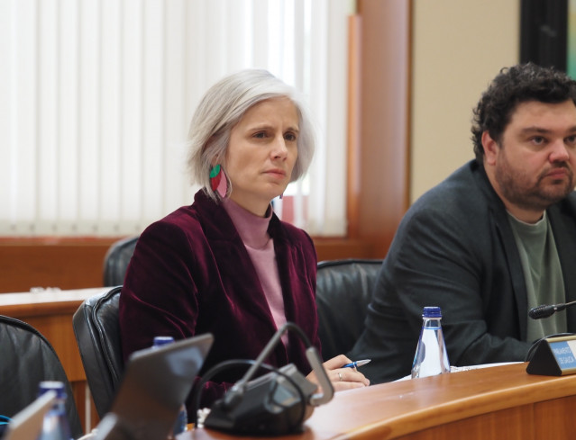 La diputada del PSdeG Patricia Iglesias en comisión parlamentaria.