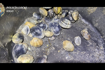 Almejas intervenidas a un mariscador furtivo en el litoral de Teis, en Vigo.