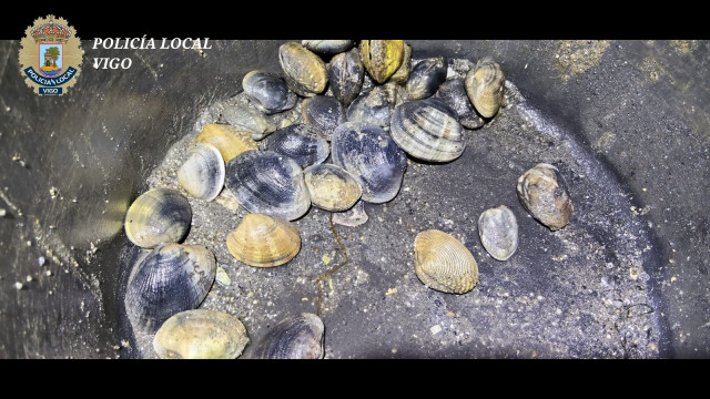 Almejas intervenidas a un mariscador furtivo en el litoral de Teis, en Vigo.