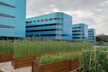 Imagen de la huerta del Álvaro Cunqueiro.