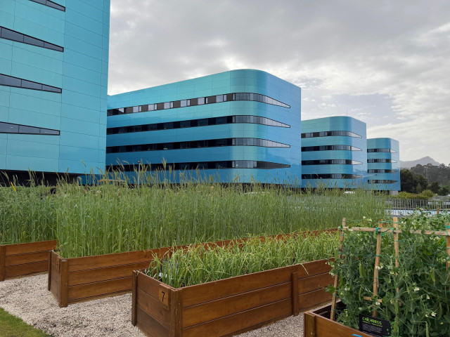 Imagen de la huerta del Álvaro Cunqueiro.