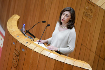 La conselleira de Medio Ambiente e Cambio Climático, Ángeles Vázquez, en el Parlamento de Galicia