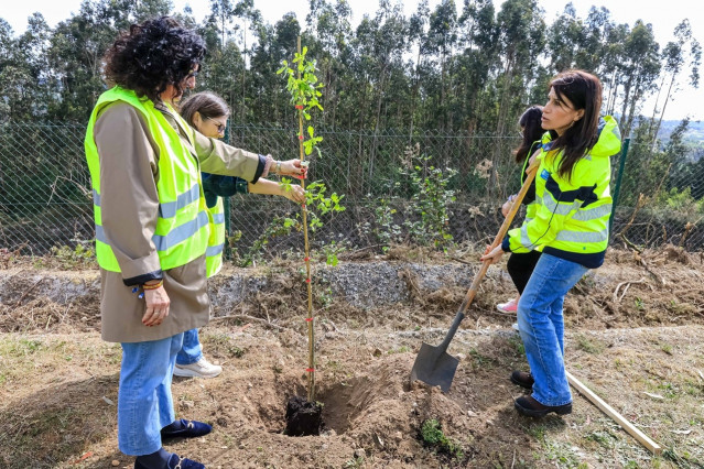 La conselleira de Infraestruturas, María Martínez Allegue, en la reforestación en la autovía AG-59