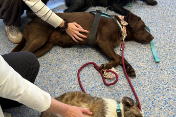 Las fundaciones María José Jove e Inibic impulsan un programa de terapia con perros