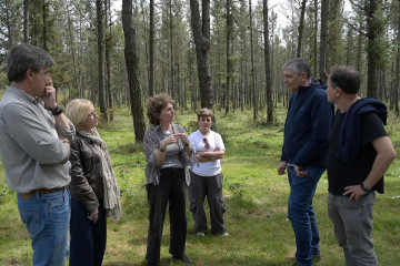 La directora xeral de Planificación e Ordenación Forestal, Luisa Piñeiro, en su visita a una plantación de pinus radiata del ayuntamiento de Vilasantar