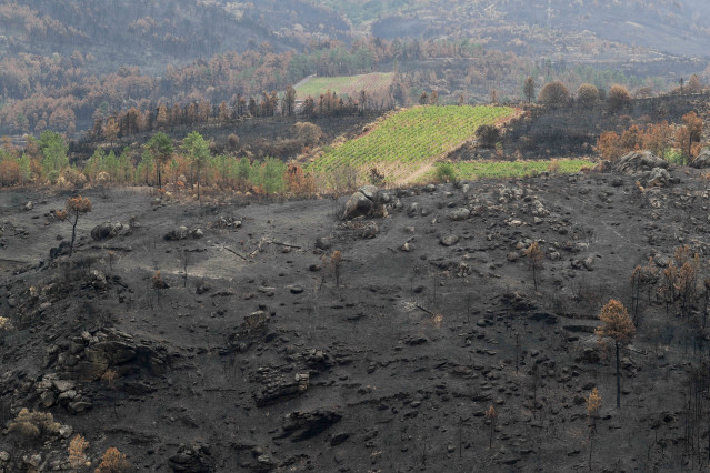 Archivo - Efectos del incendio de Larouco, a 11 de septiembre de 2025, en Ourense, Galicia (España).