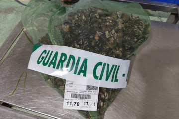 Interceptado un furtivo con varios kilos de percebes extraídos de forma ilegal en Viveiro (Lugo)