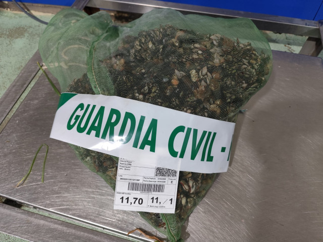 Interceptado un furtivo con varios kilos de percebes extraídos de forma ilegal en Viveiro (Lugo)