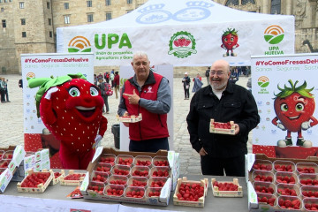 Reparto de fresas de UPA en el Obradoiro