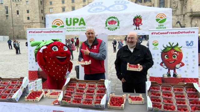 Reparto de fresas de UPA en el Obradoiro
