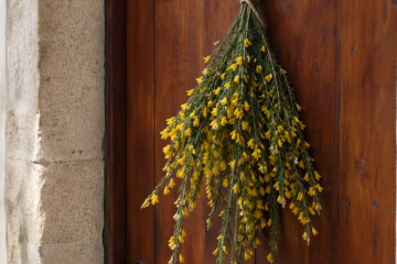 En muchos lugares de Galicia también es tradicción colgar maios en las puertas