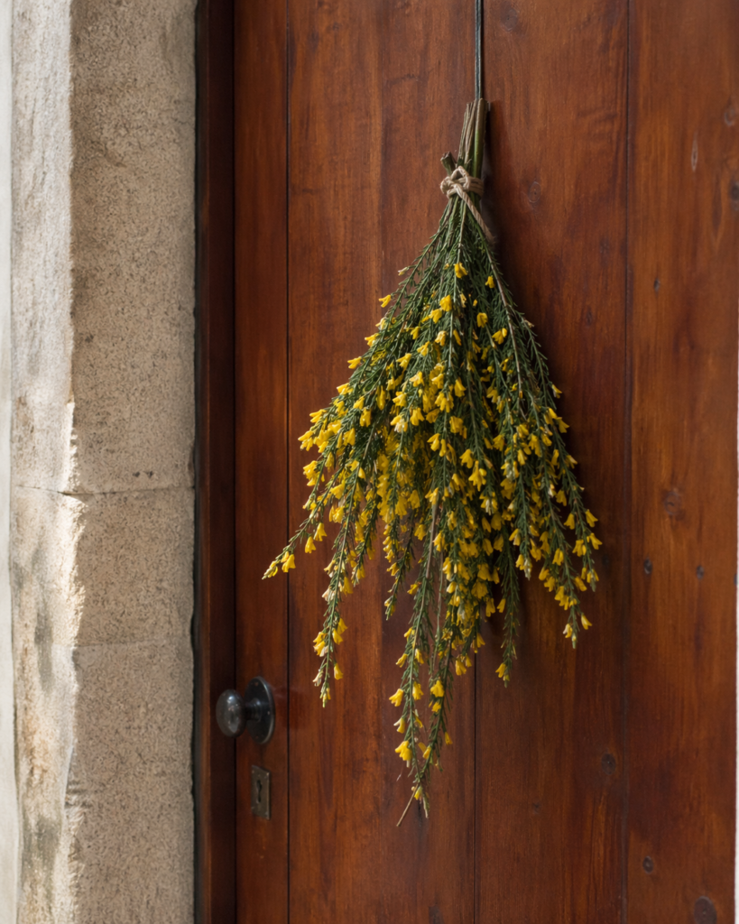 En muchos lugares de Galicia tambiu00e9n es tradicciu00f3n colgar maios en las puertas