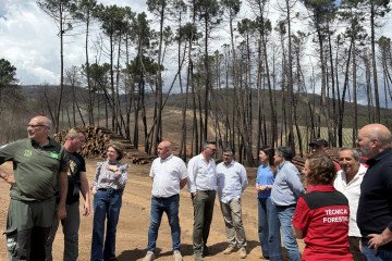 La conselleira do Medio Rural, María José Gómez, en Monterrei (Ourense)