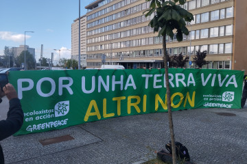 Protesta de ecologistas gallegos frente a la sede de Altri