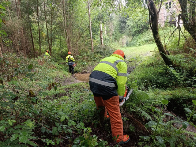 La Xunta realiza labores de conservación fluvial en ríos de Viveiro y Cedeira.