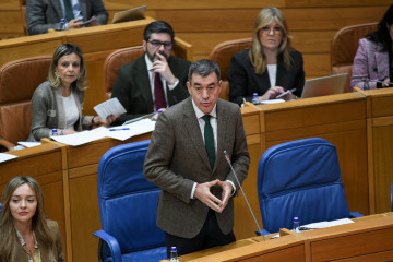 El conselleiro de Educación, Román Rodríguez, en el Parlamento