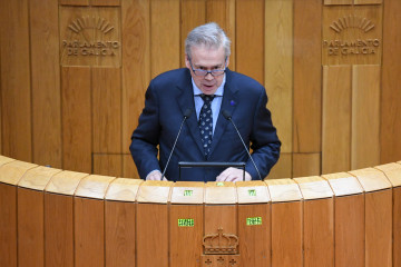 El conselleiro de Sanidade, Antonio Gómez Caamaño, en el pleno del Parlamento de Galicia