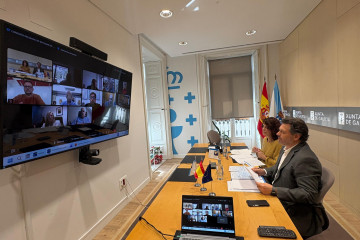 El secretario xeral da Emigración, Antonio Rodríguez Miranda, preside de manera telemática la Comisión Delegada do Consello de Comunidades Galegas
