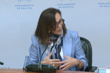 La directora xeral de Calidade Ambiental e Sostibilidade, María José Echevarría, en comisión