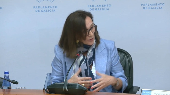 La directora xeral de Calidade Ambiental e Sostibilidade, María José Echevarría, en comisión