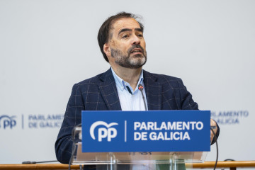 El portavoz del Grupo Popular en el Parlamento, Alberto Pazos Couñago, a 8 de mayo de 2026.