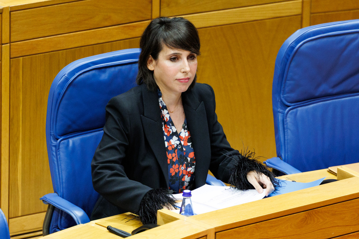 Comparecencia No Parlamento