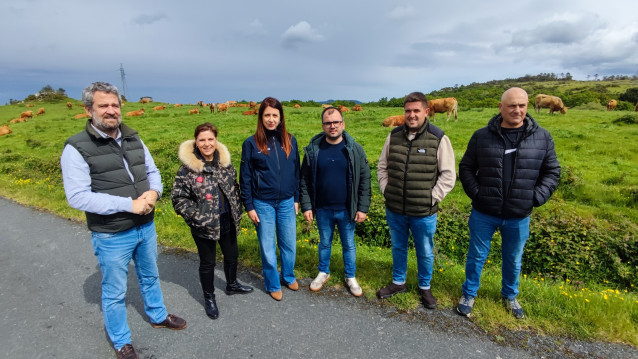 La conselleira do Medio Rural, María José Gómez, en Viveiro