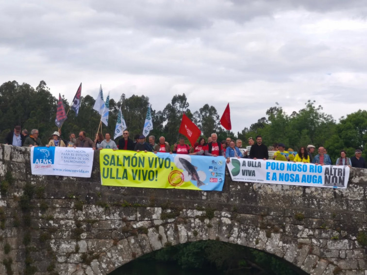 Gran protesta en Pontevedra el 24 de mayo en Pontevedra en contra de Altri y Ence Lourizán