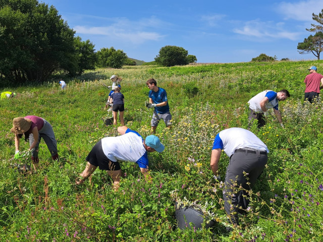 Más de un centenar de voluntarios retiraran basura marina y flora exótica invasora en la Isla de Ons