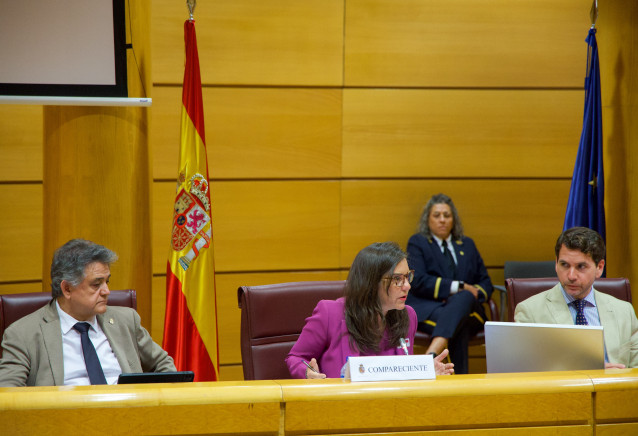 La alcaldesa de A Coruña, Inés Rey, comparece en el Senado