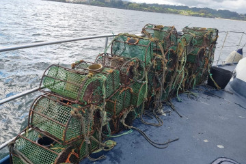 Gardacostas de Galicia retira 783 aparatos de pesca no autorizados y casi 670 kilos de pulpo