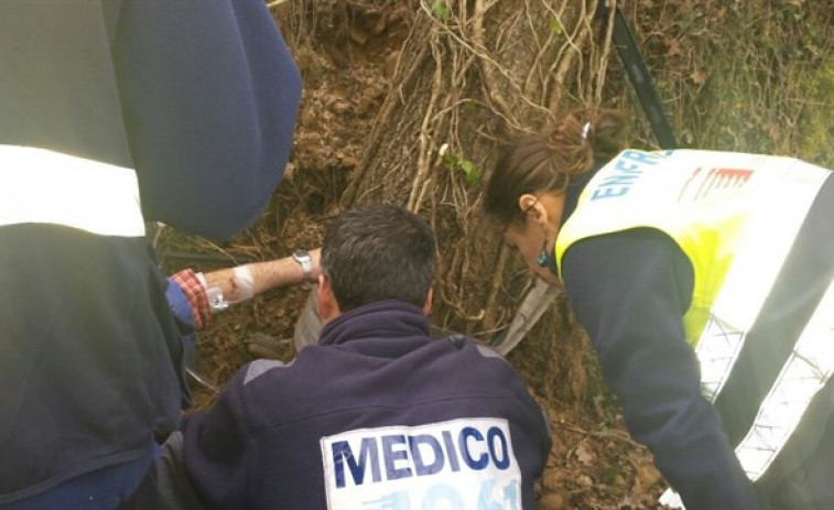 Muere un trabajador tras caerle un árbol encima en Salvaterra