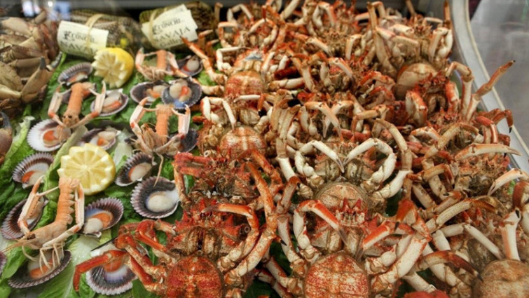 El marisco gallego se hace más proclive a causar infecciones por el cambio climático