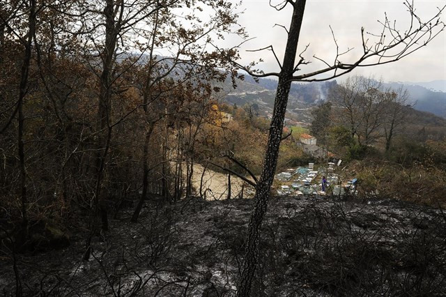 Detido un gandeiro acusado de provocar o incendio do parque natural do Xurés