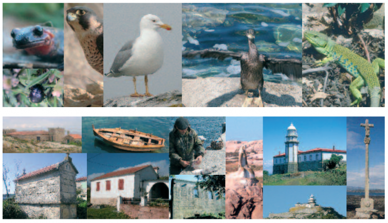 La isla de Sálvora podría ser el primer espacio natural declarado BIC