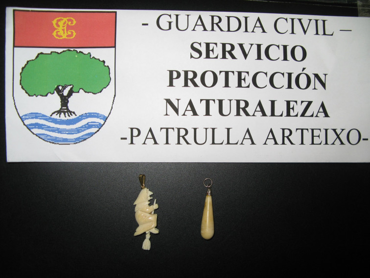 El Seprona interviene en Arteixo marfil de elefante que se ofertaba a través de Internet