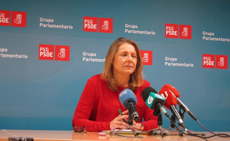 El PSdeG solicita la revocación de los cambios en los contratos de los investigadores gallegos