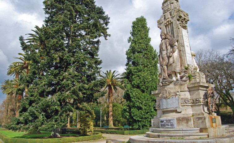 El Concello de Santiago señalizará los 71 árboles más emblemáticos de la Alameda