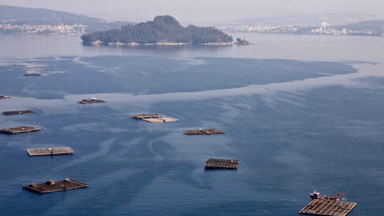 Dos muertos y un desaparecido tras colisionar un pesquero contra una batea