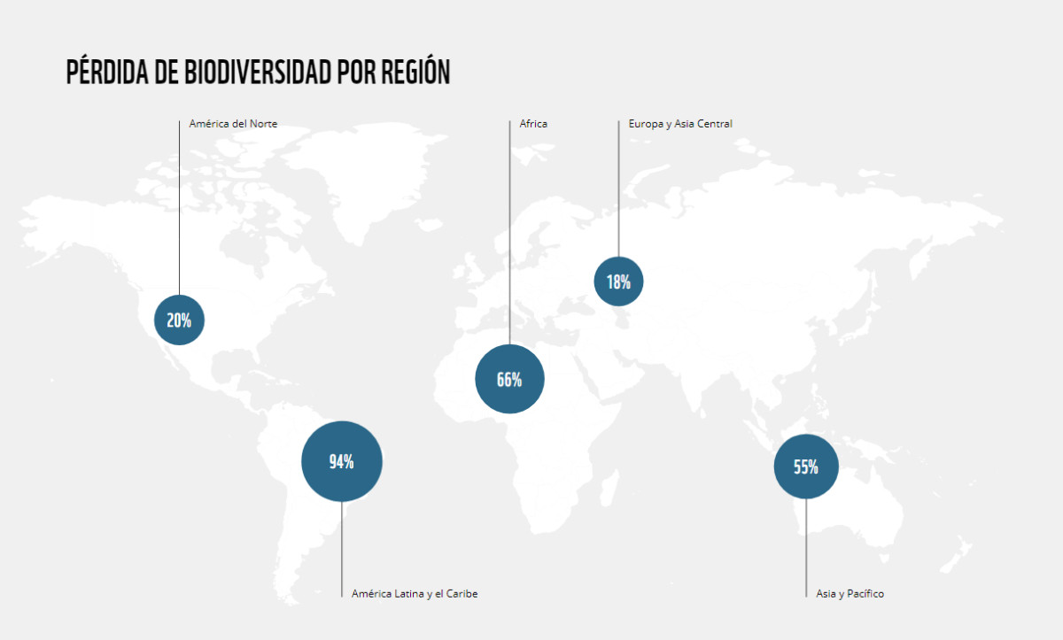 Catalunyapress grafwwf