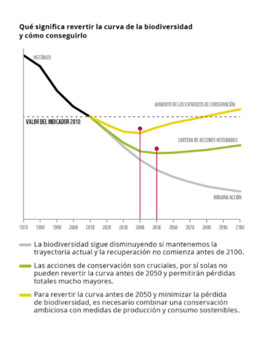 Catalunyapress grwwf